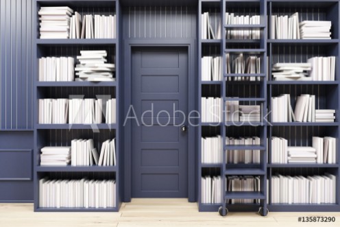 Picture of Home library with a ladder black